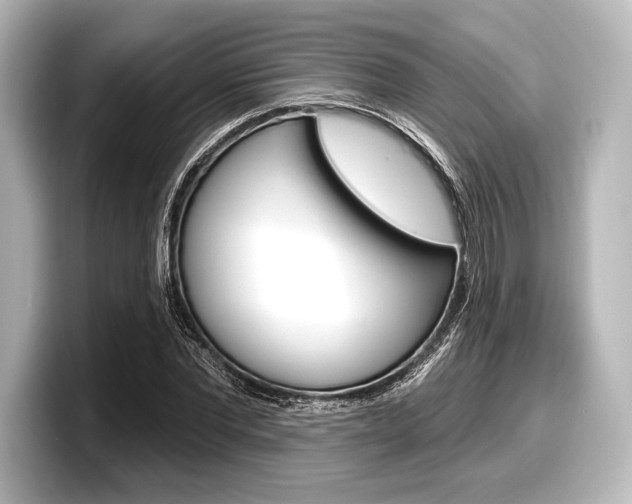 X0000098170877200804241007