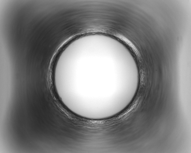 X0000098170878200804241007