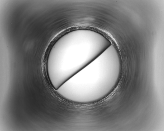 X0000098170879200804241007