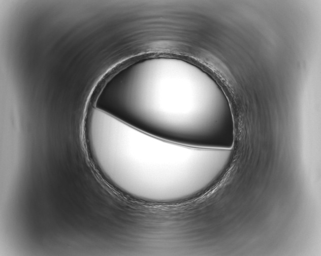 X0000098170880200804241007
