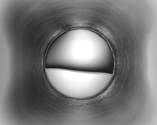 X0000098170881200804241007