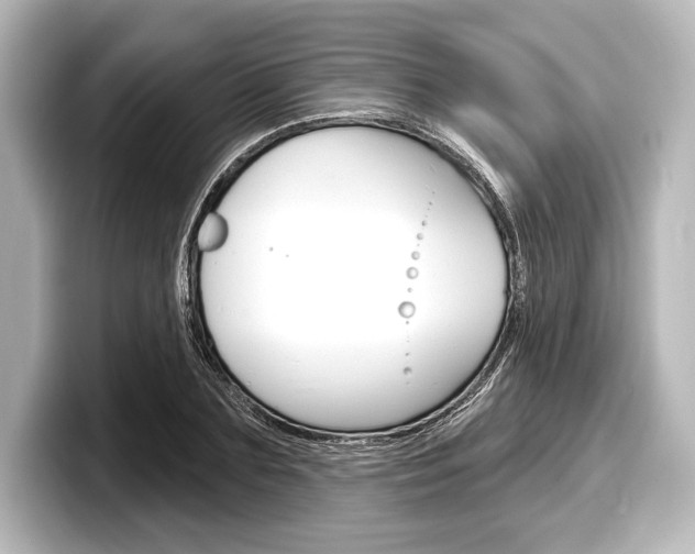 X0000098170883200804241007