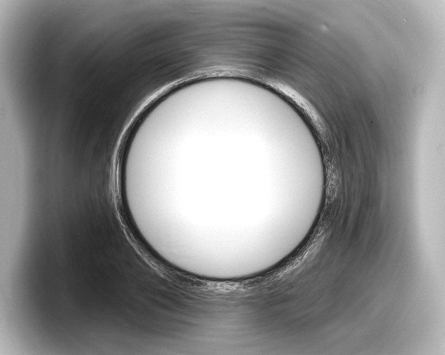 X0000098170886200804241007