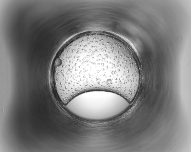 X0000098170887200804241007
