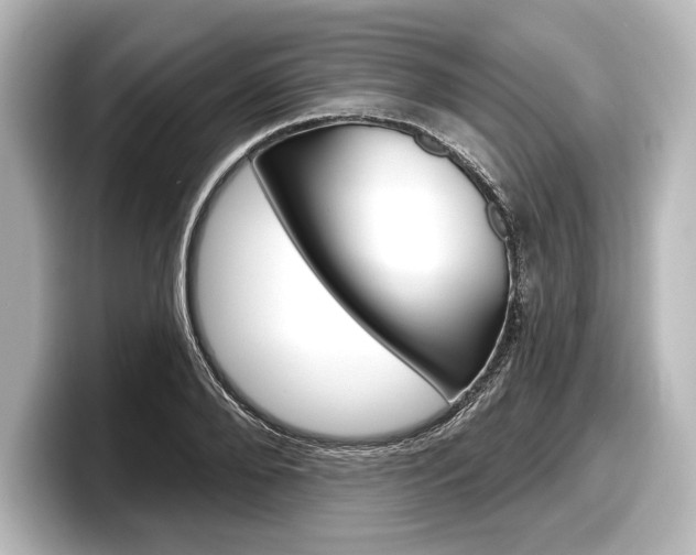 X0000098170888200804241007
