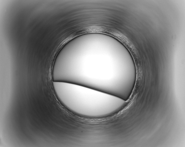 X0000098170889200804241007