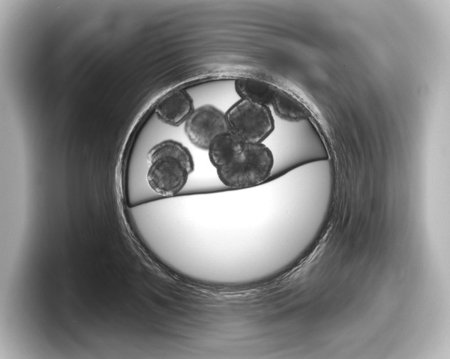 X0000098170891200804241007