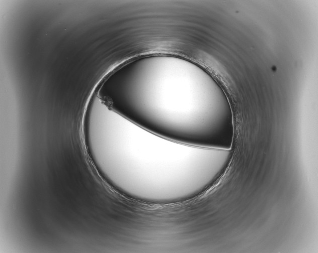 X0000098170892200804241007