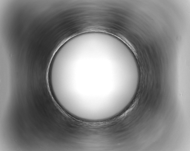X0000098170893200804241007