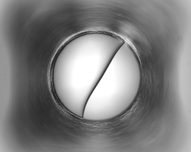 X0000098170895200804241007
