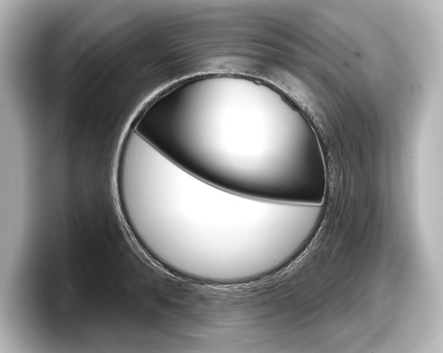 X0000098170896200804241007