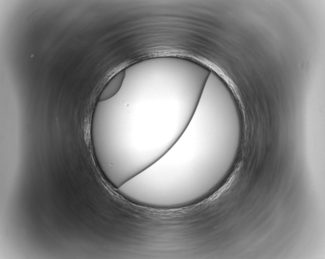 X0000098170897200804241007