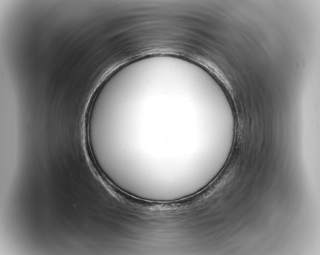 X0000098170898200804241007