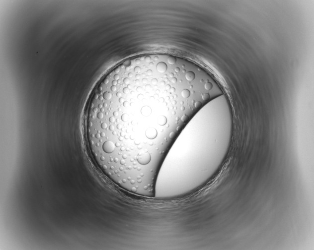 X0000098170899200804241007