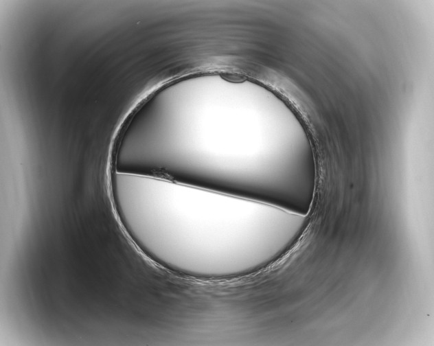 X0000098170902200804241007