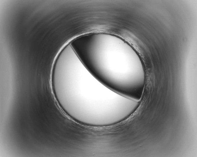 X0000098170904200804241007