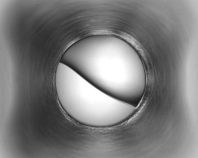 X0000098170905200804241007
