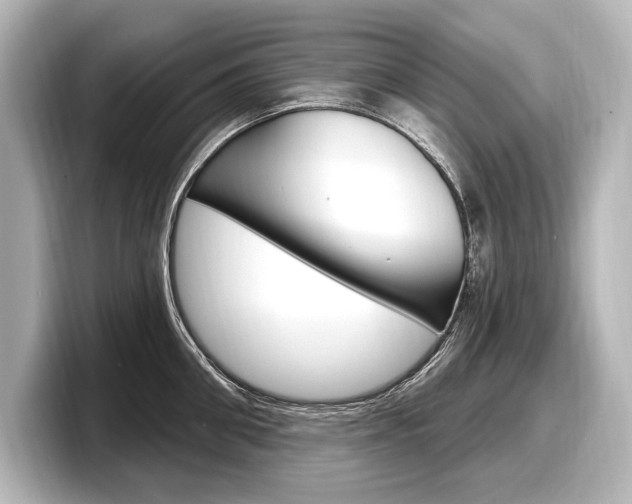 X0000098170906200804241007
