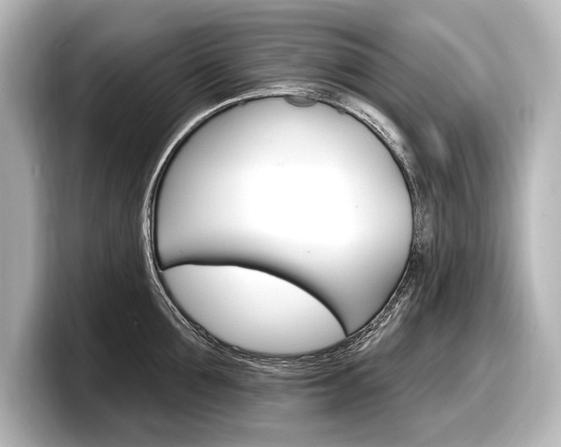 X0000098170907200804241007