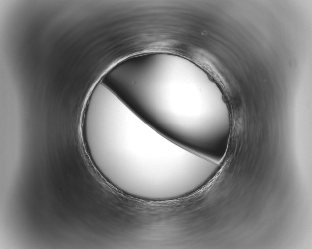 X0000098170908200804241007