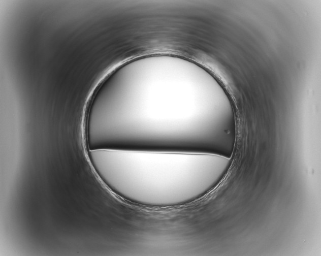 X0000098170910200804241007