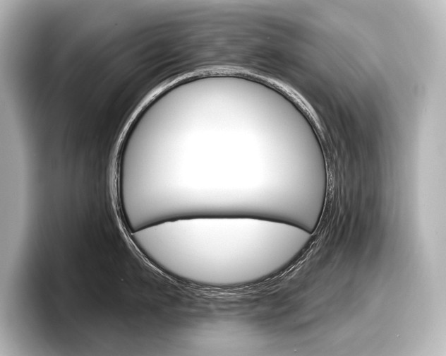 X0000098170911200804241007