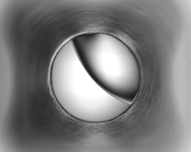 X0000098170912200804241007
