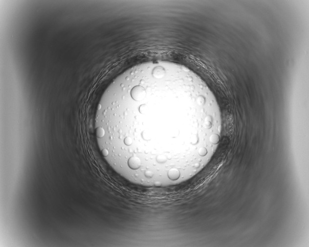 X0000098170913200804241006