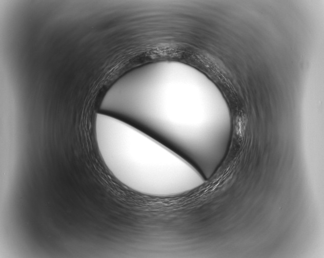 X0000098170915200804241006