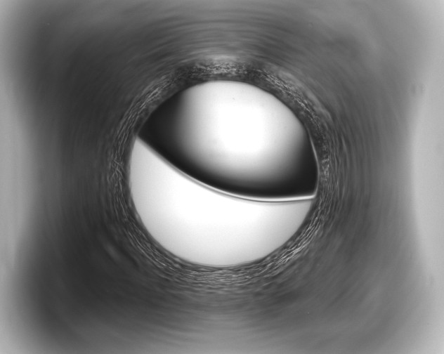 X0000098170916200804241006