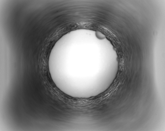 X0000098170917200804241006