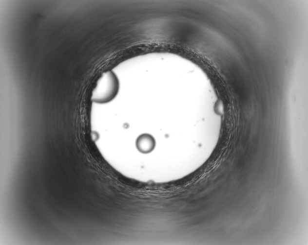 X0000098170918200804241006