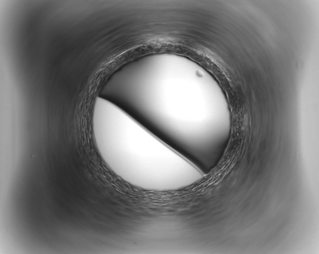 X0000098170919200804241006