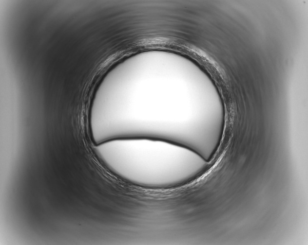 X0000098170921200804241006