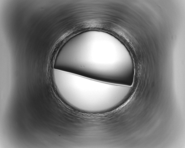 X0000098170922200804241006