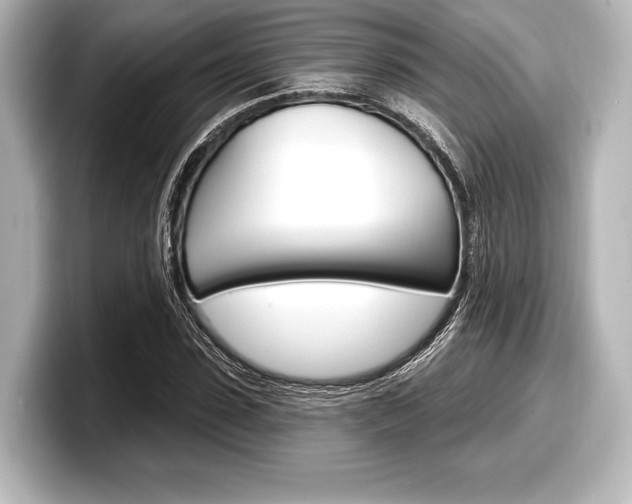 X0000098170923200804241006