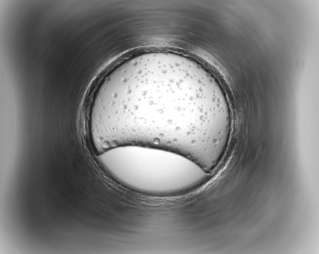 X0000098170925200804241006