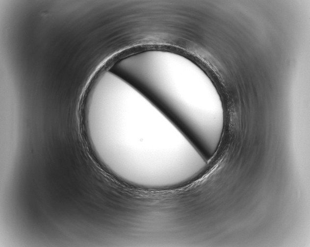 X0000098170926200804241006