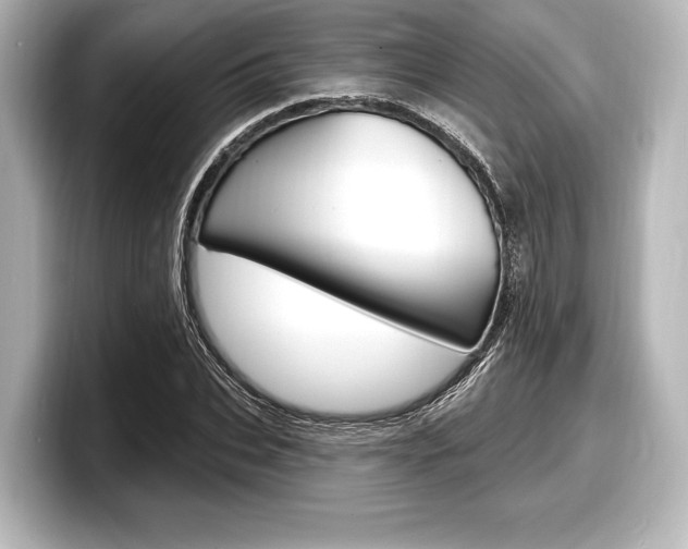 X0000098170927200804241006