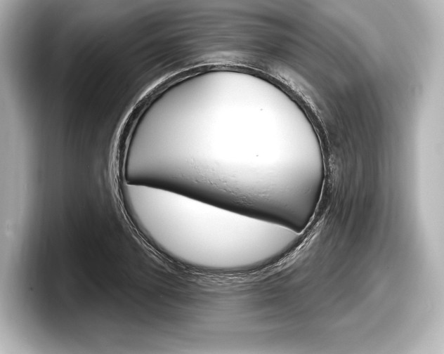 X0000098170931200804241006