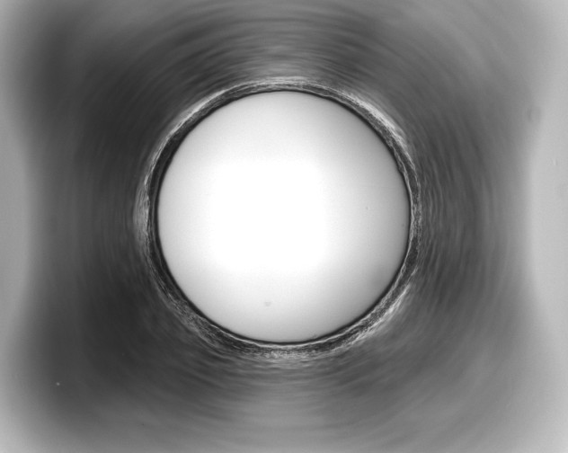X0000098170933200804241006