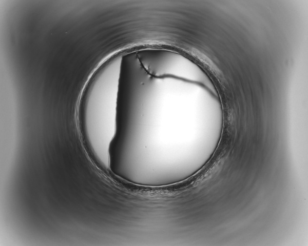 X0000098170934200804241006