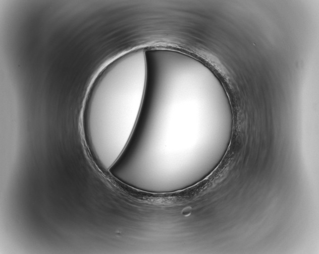 X0000098170936200804241006