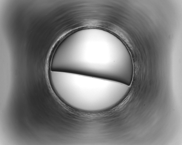 X0000098170939200804241006