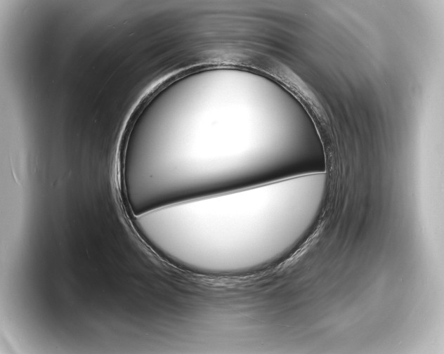 X0000098170940200804241006