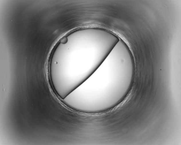 X0000098170941200804241006