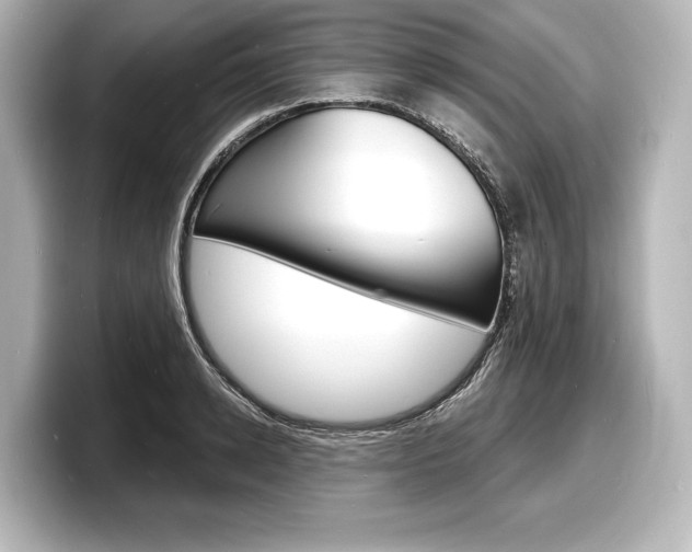 X0000098170942200804241006