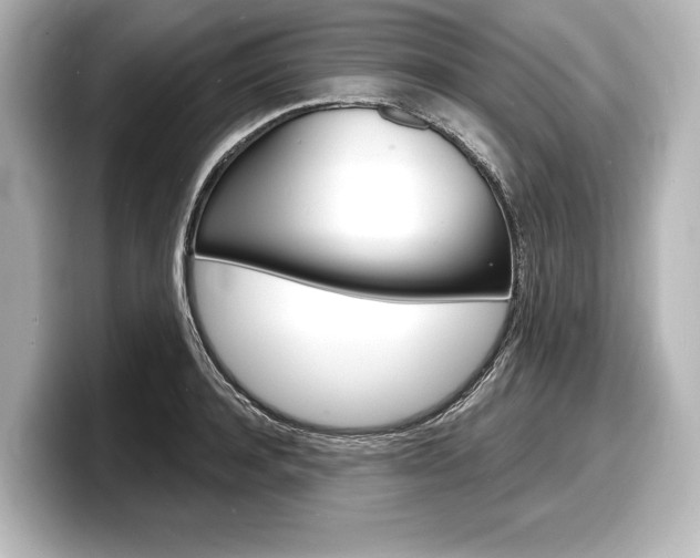 X0000098170944200804241006
