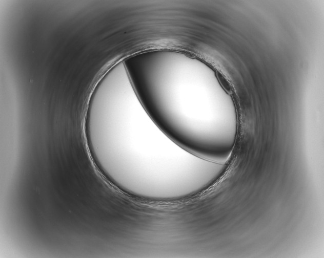 X0000098170946200804241006