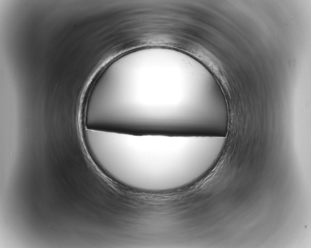 X0000098170947200804241006